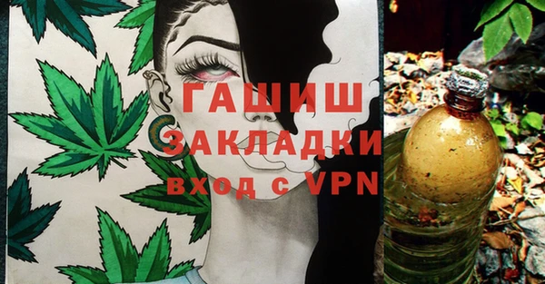 шишки Армянск